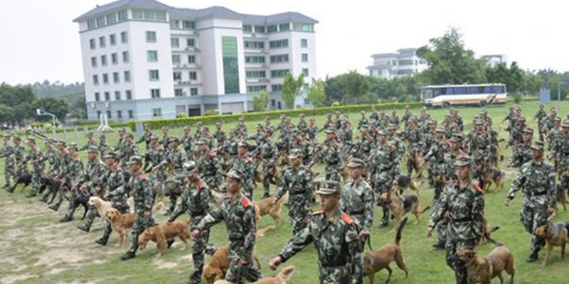 廣州武警警犬訓(xùn)練基地固定看臺(tái)全部竣工